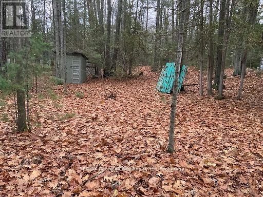 46 Oakwood Avenue N Property Photo 2