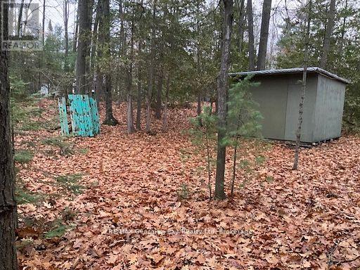 46 Oakwood Avenue N Property Photo 3