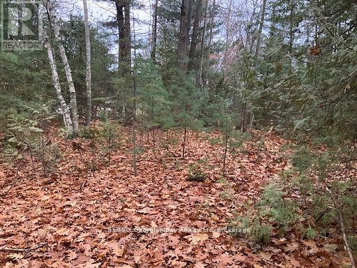 46 Oakwood Avenue N Property Photo 4