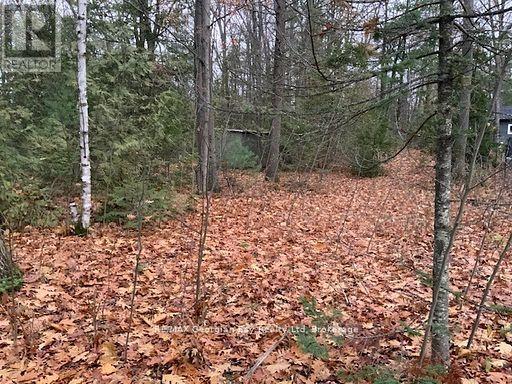 46 Oakwood Avenue N Property Photo 6