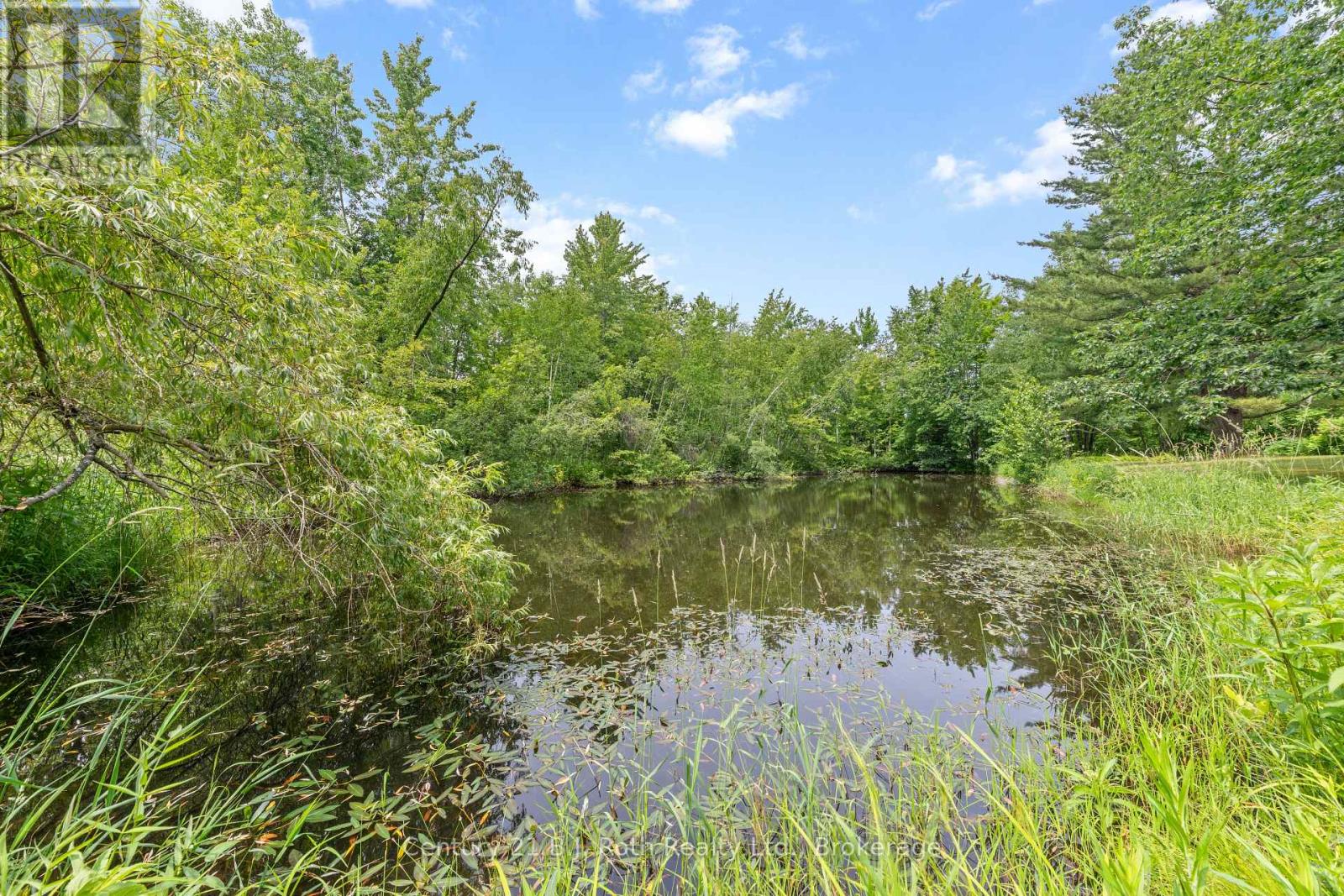 3147 Dalton Court Property Photo 42