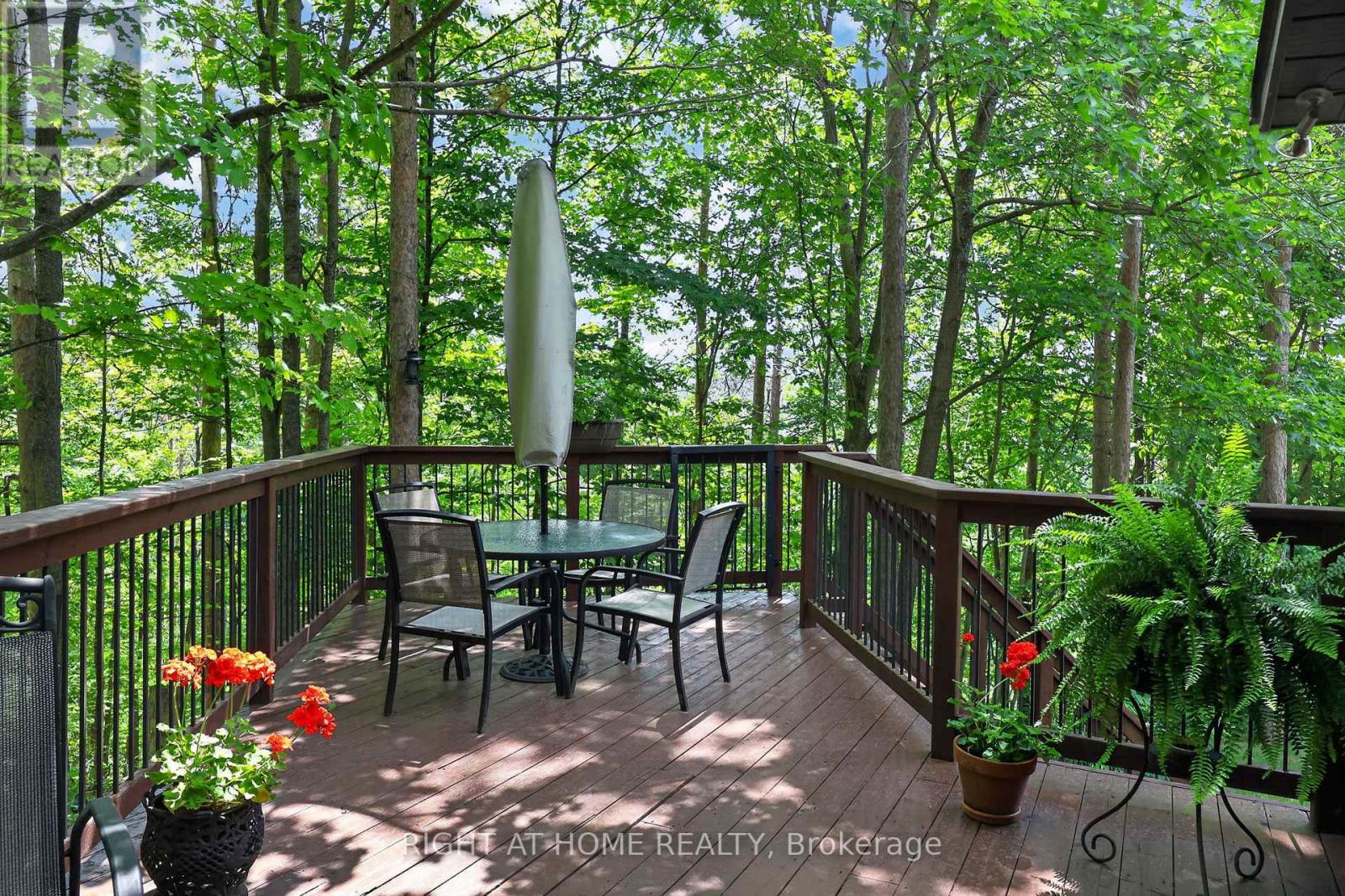 5 Pine Point Property Photo 1