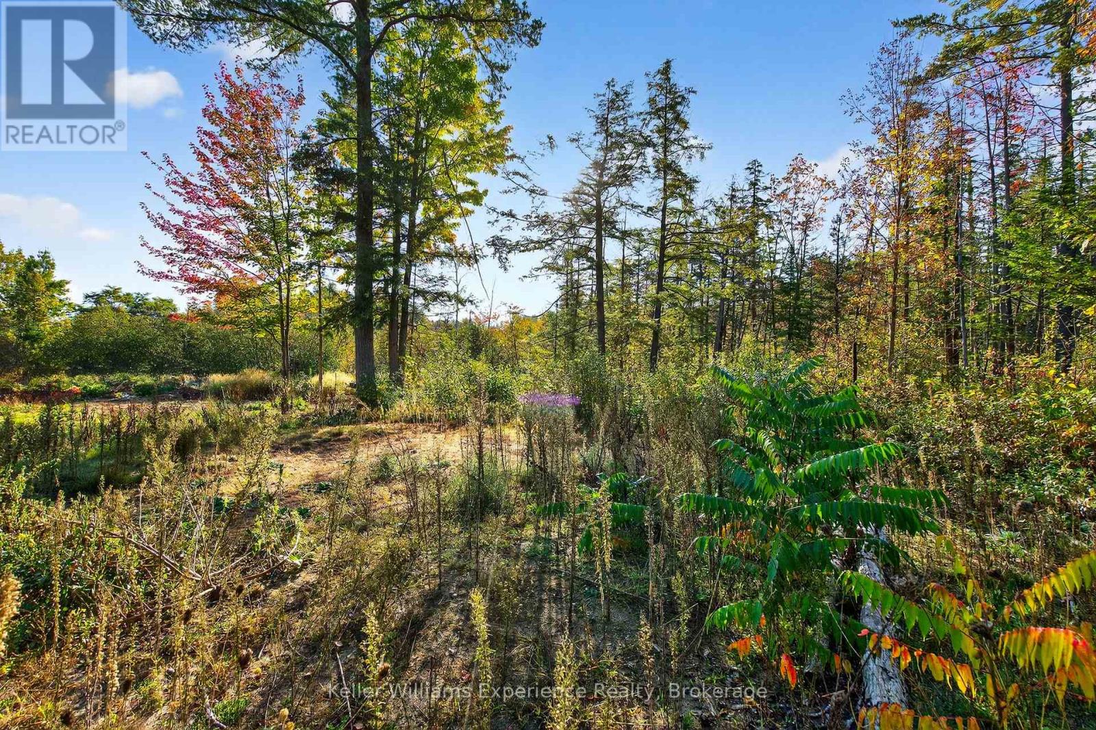 556 Champlain Road Property Photo 32