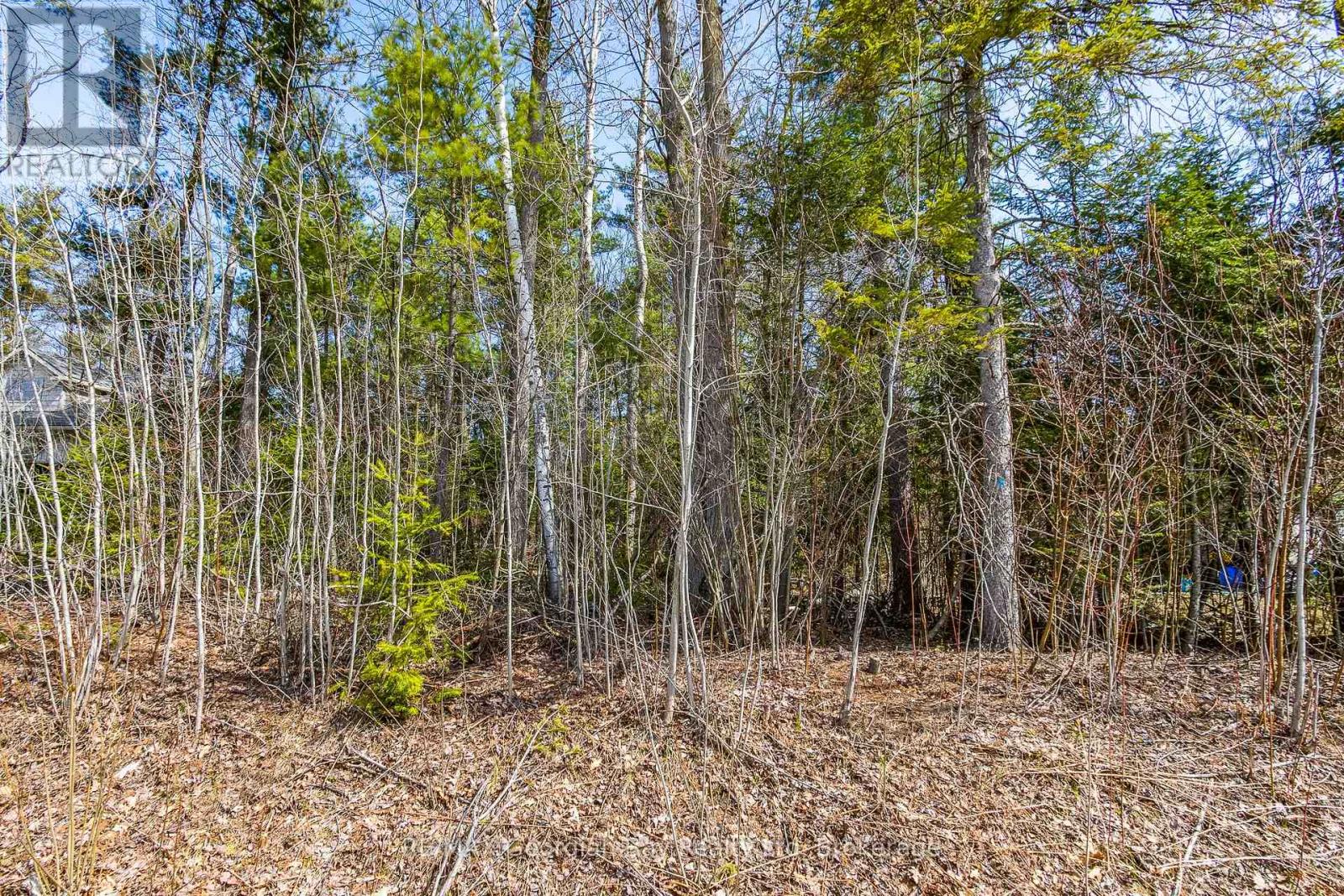 Lot 102 Emilio Street Property Photo 3