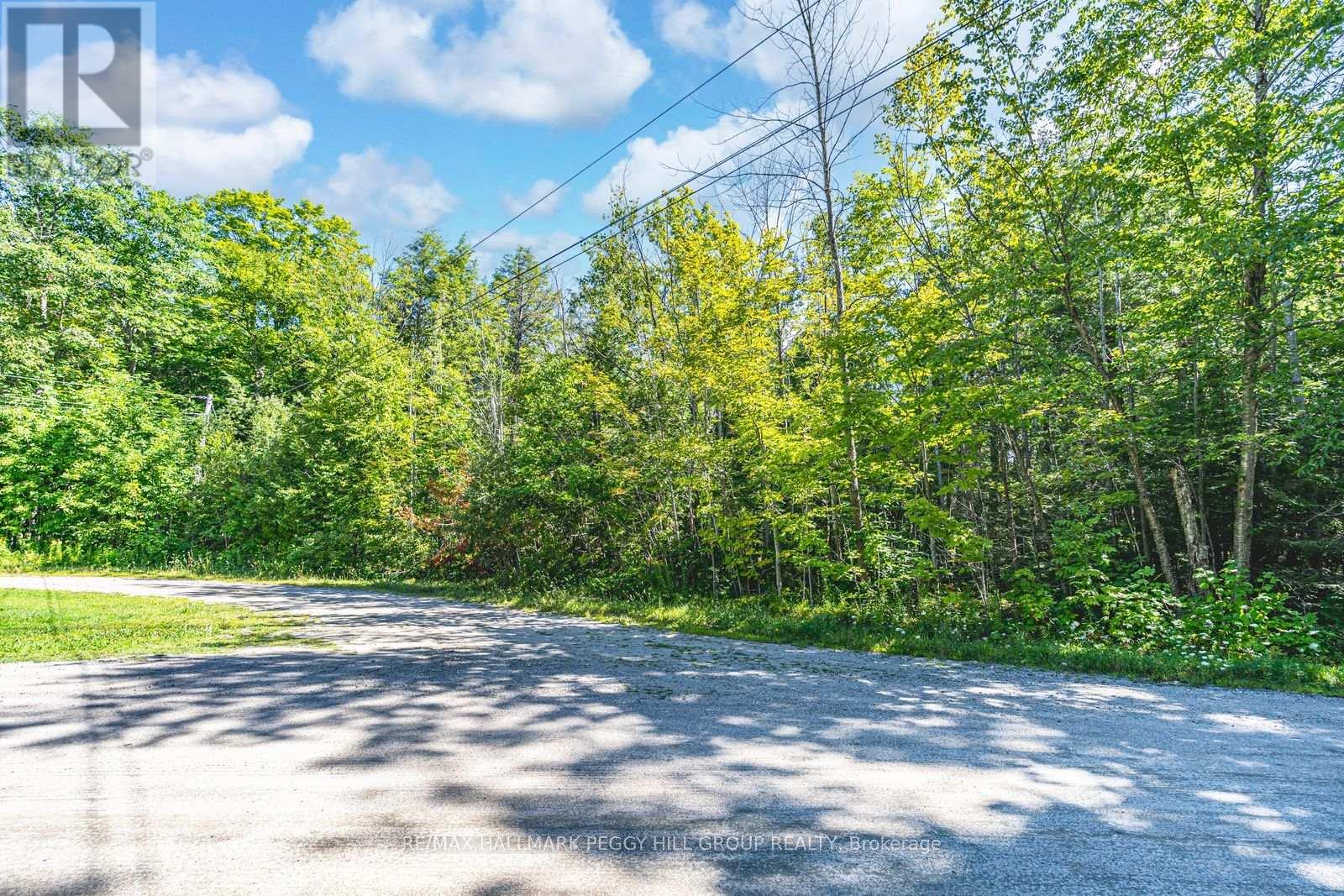 38 Lasalle Trail Property Photo 4