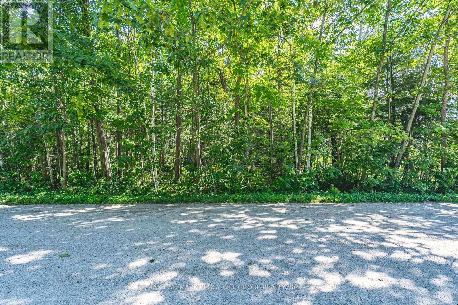 38 Lasalle Trail Property Photo 5