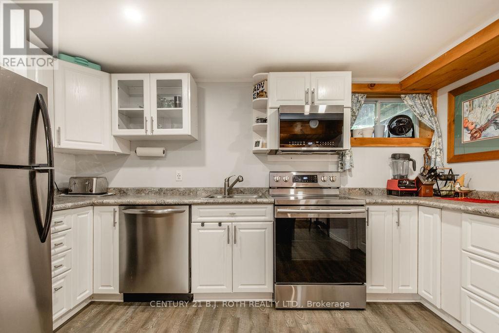 Lower Level - 243 Wellington Street E Property Photo 8