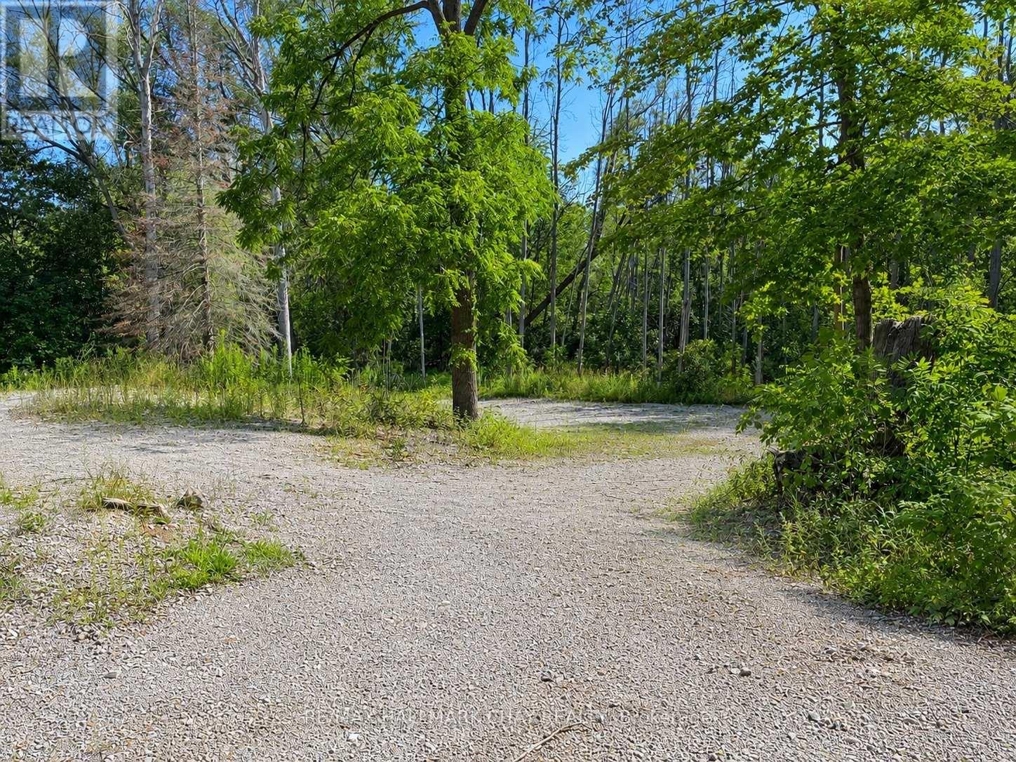 241 Mountain Avenue Property Photo 4