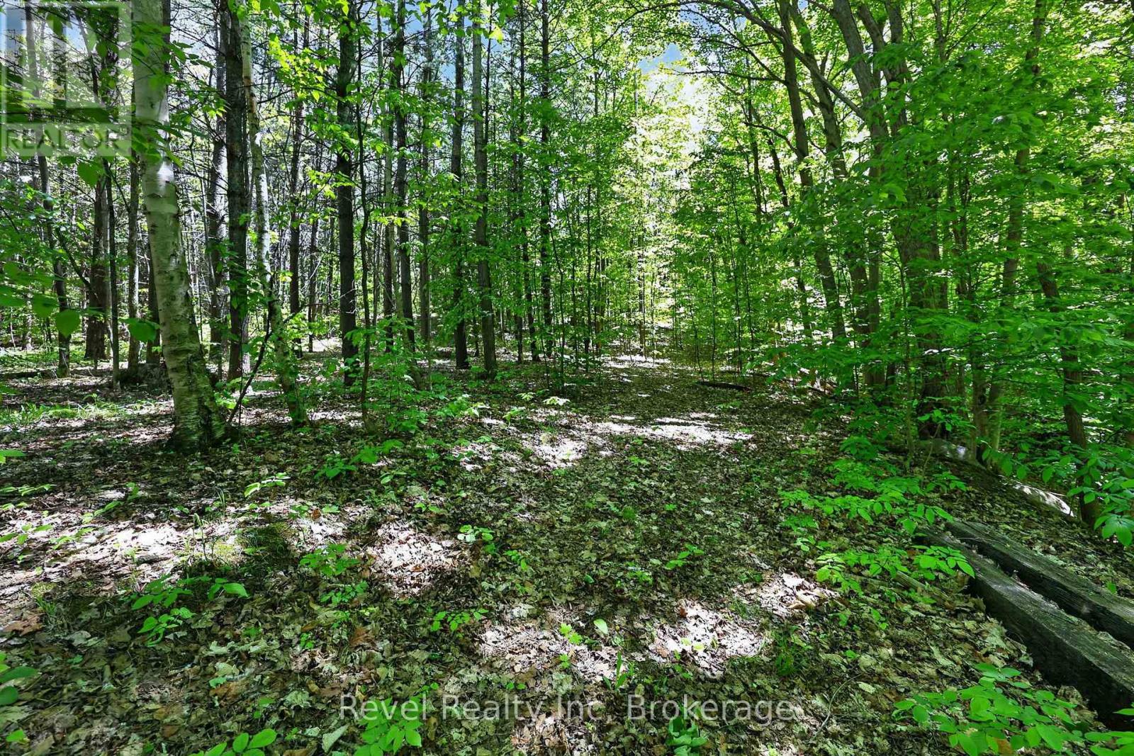 2391 Rumney Road Property Photo 21