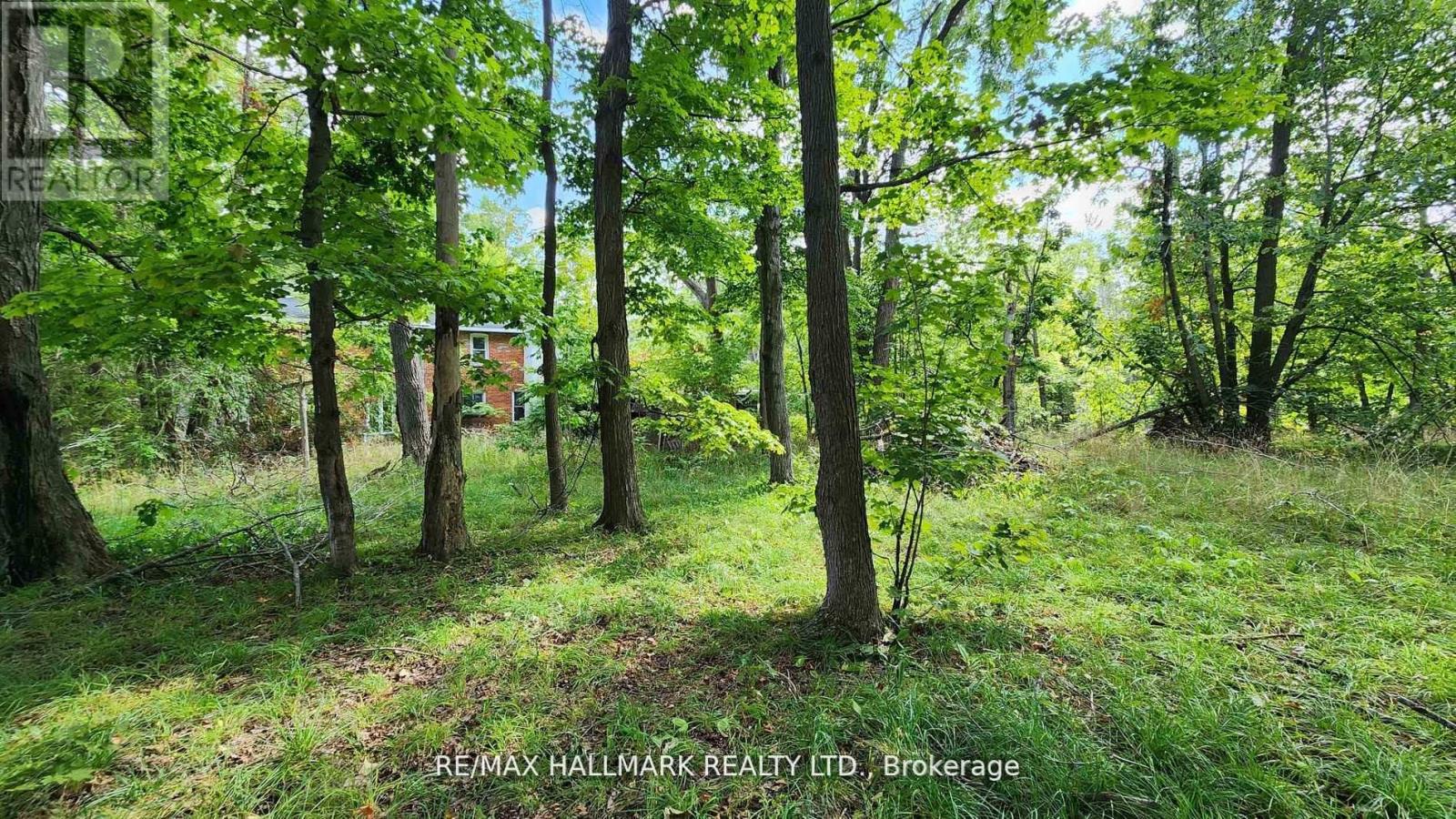 26 Lakeshore Road W Property Photo 20