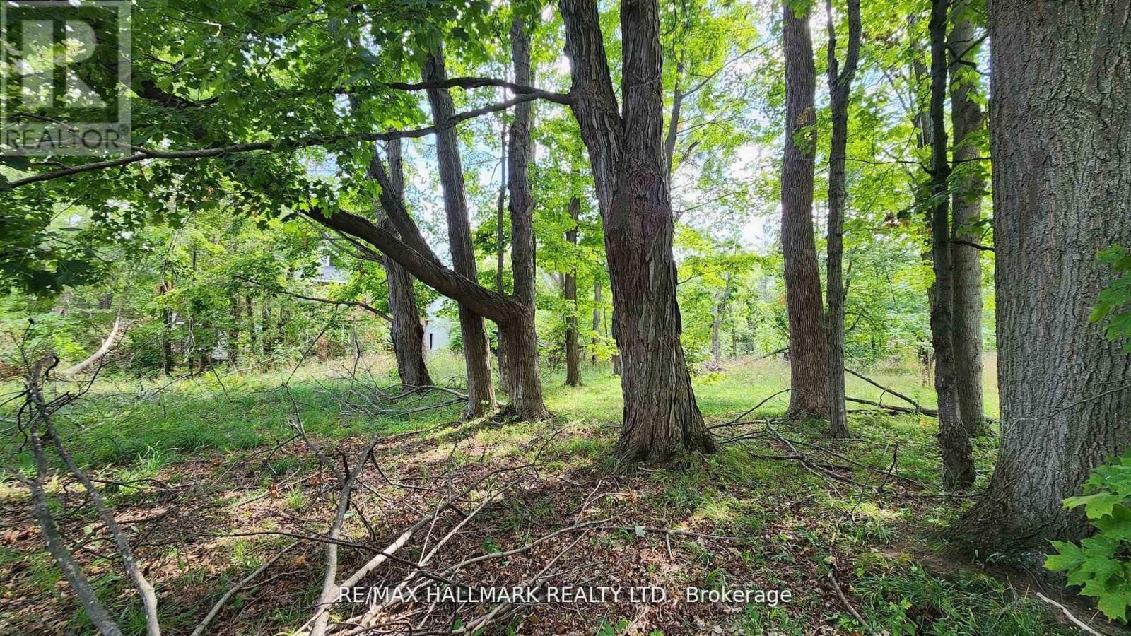 26 Lakeshore Road W Property Photo 21