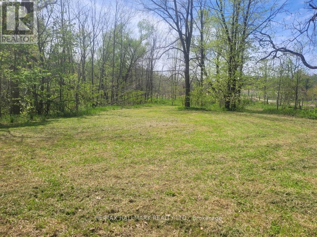 26 Lakeshore Road W Property Photo 22