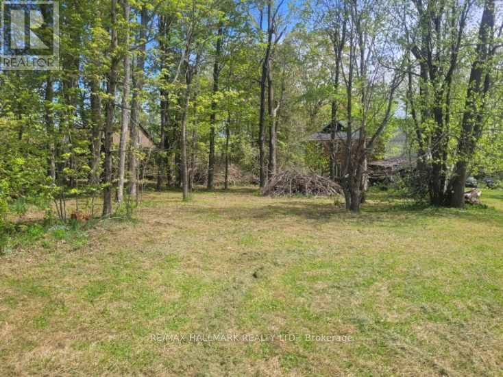 26 Lakeshore Road W Property Photo 23