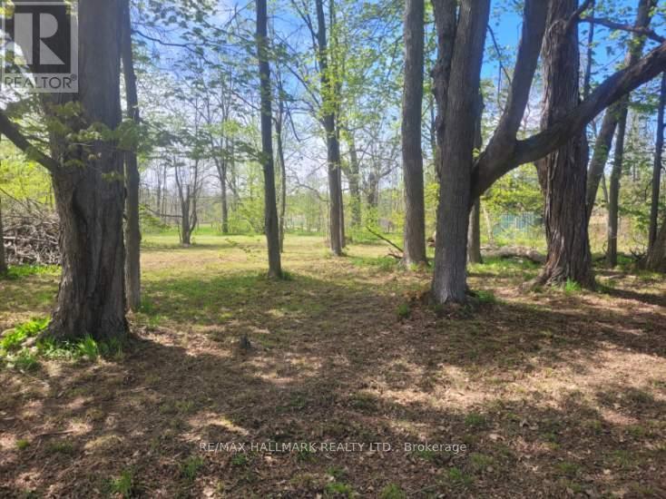 26 Lakeshore Road W Property Photo 25