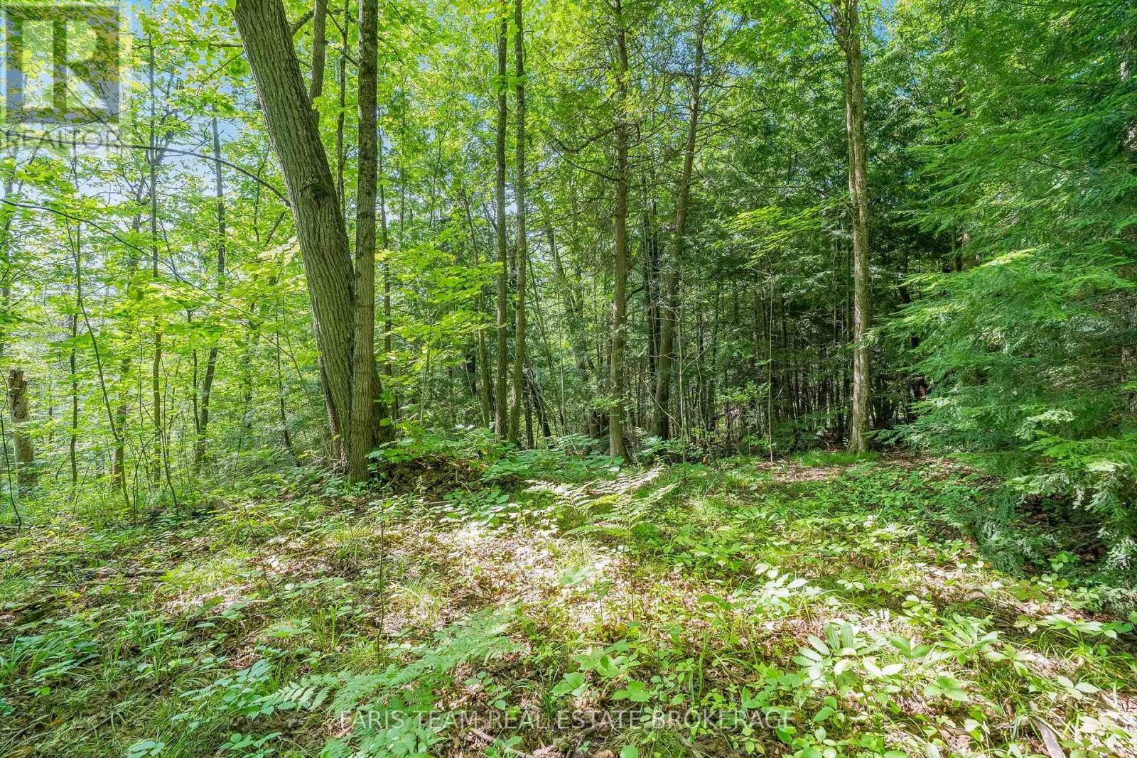 5609 Line 4 N Property Photo 6