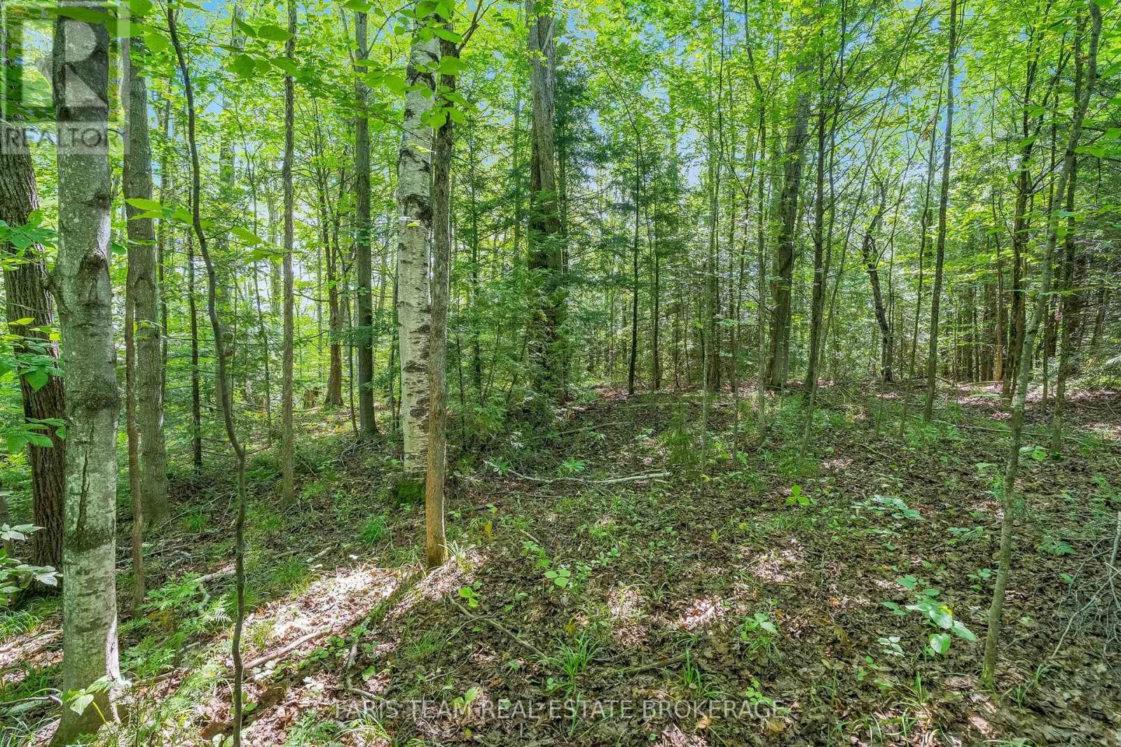 5609 Line 4 N Property Photo 8