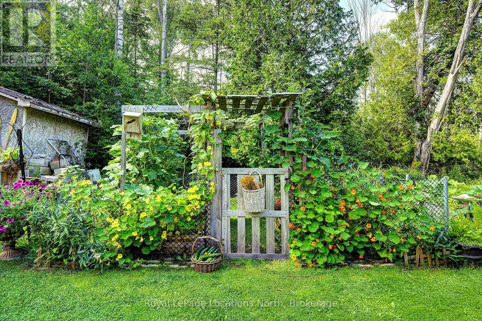 22 Balsam Street Property Photo 32