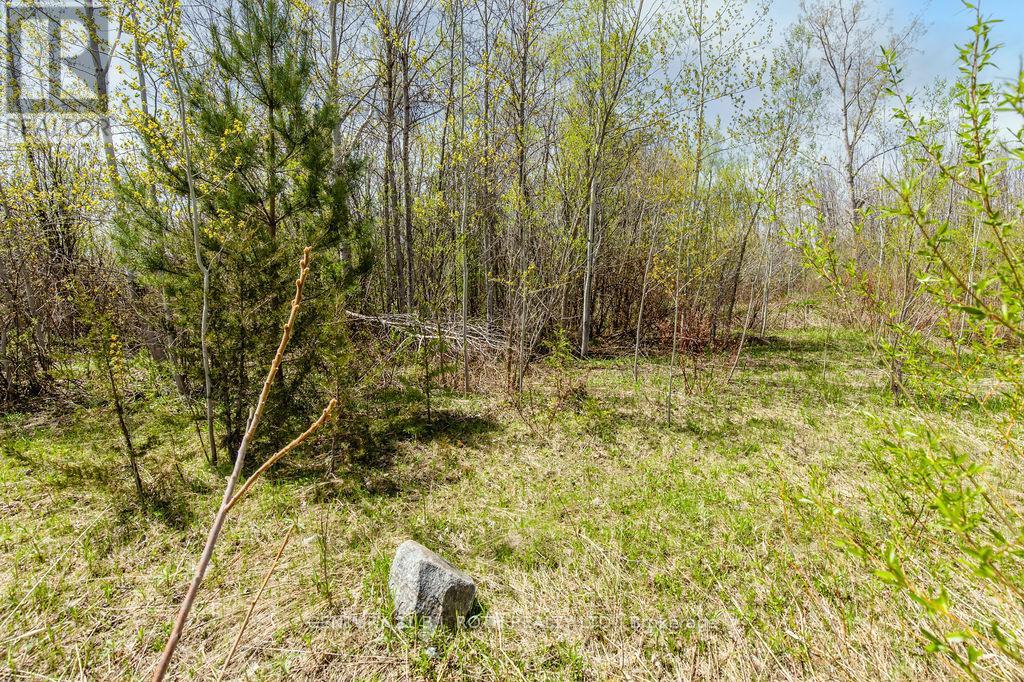 15 Quarry Road Property Photo 24