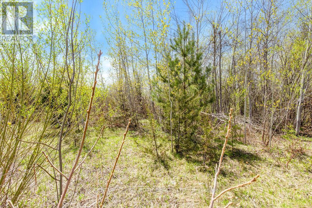 15 Quarry Road Property Photo 26