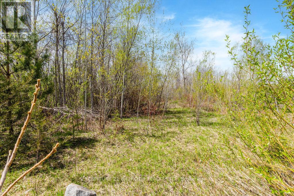 15 Quarry Road Property Photo 27