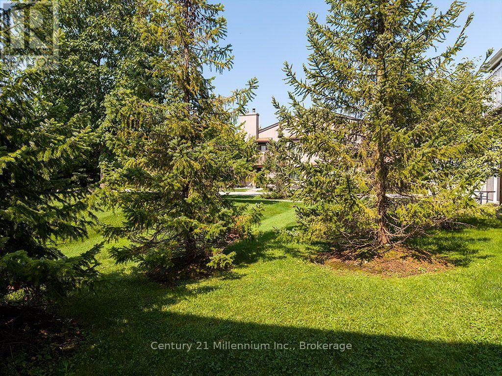 68 - 19 Dawson Drive Property Photo 13
