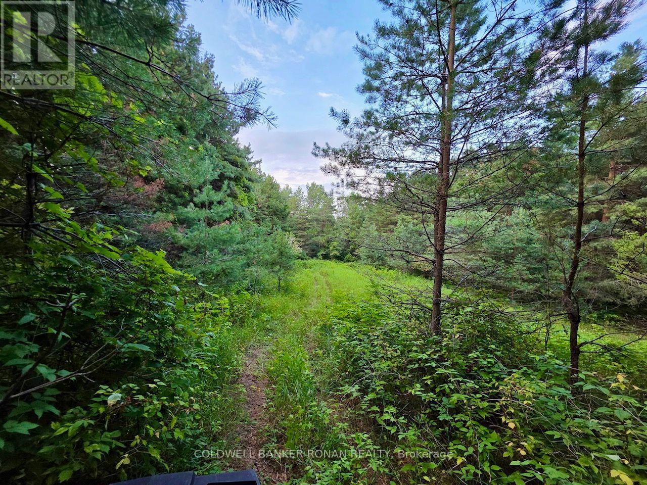 3430 Concession 3 S Property Photo 41