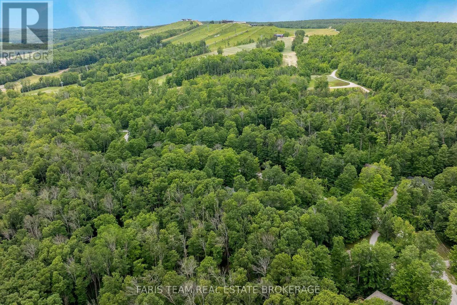 11 Snowshoe Trail Property Photo 50