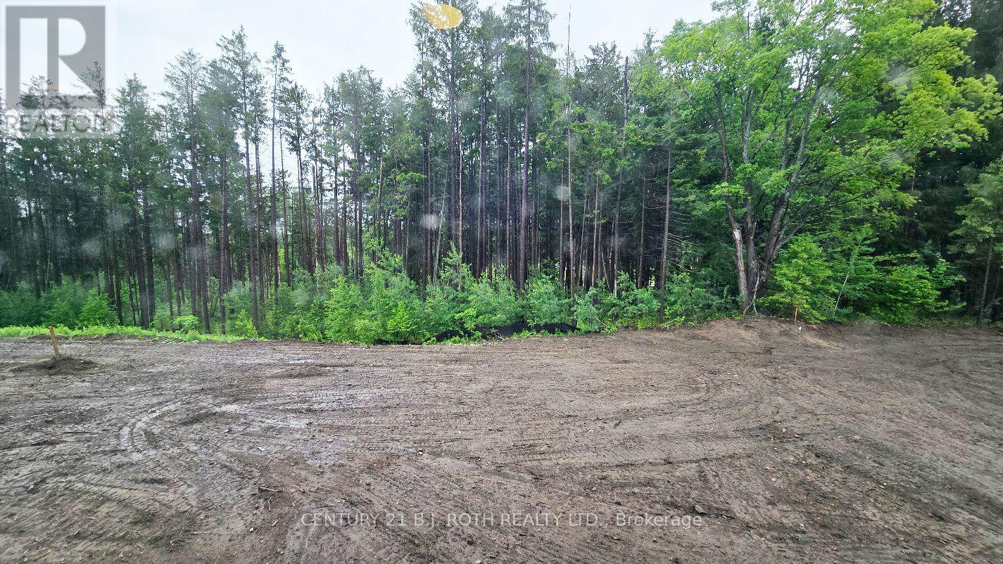 51 Ruby Ridge Property Photo 18