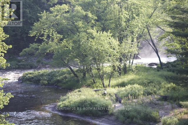 8101 Kings River Road Property Photo 27