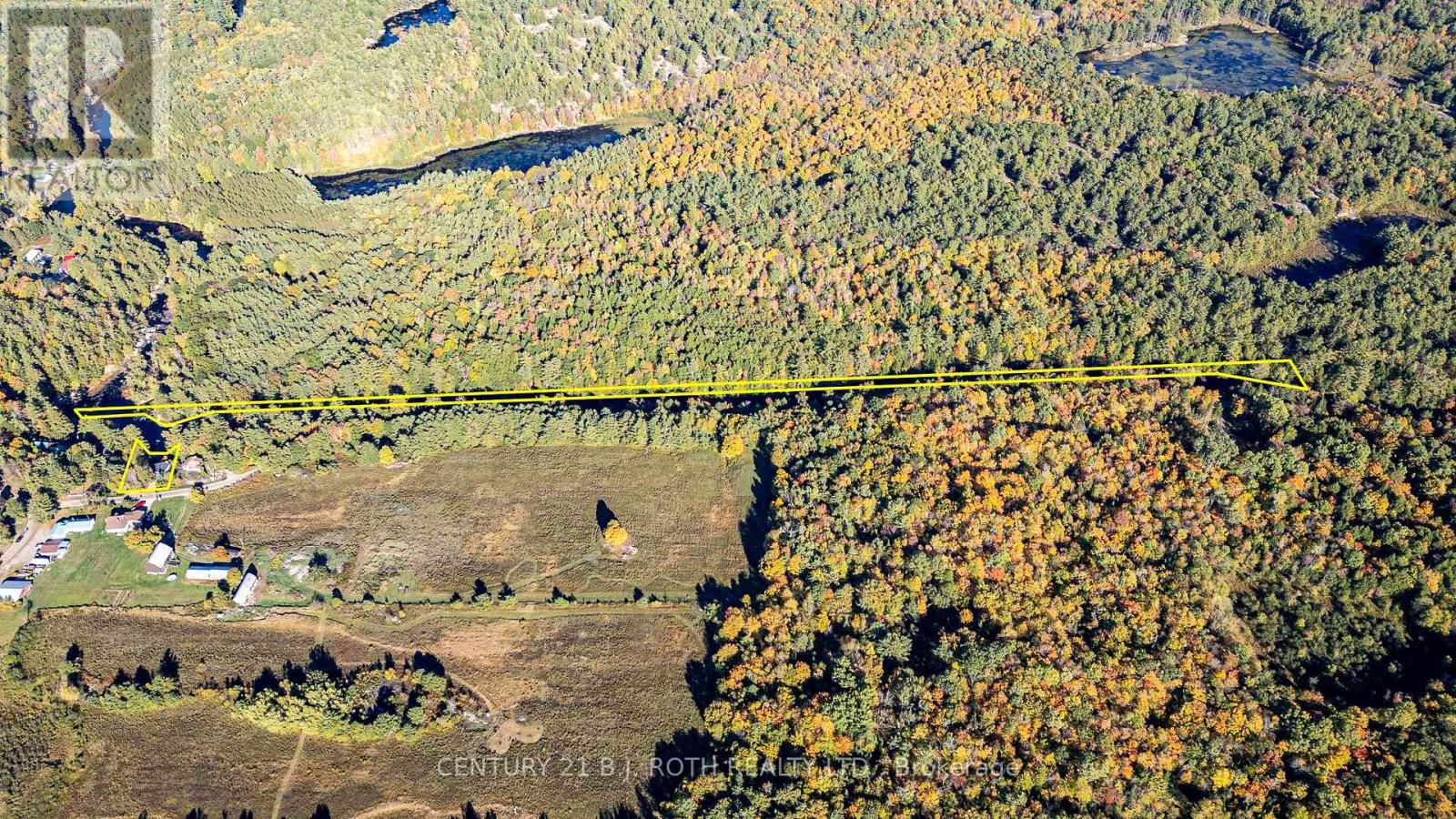 8101 Kings River Road Property Photo 31
