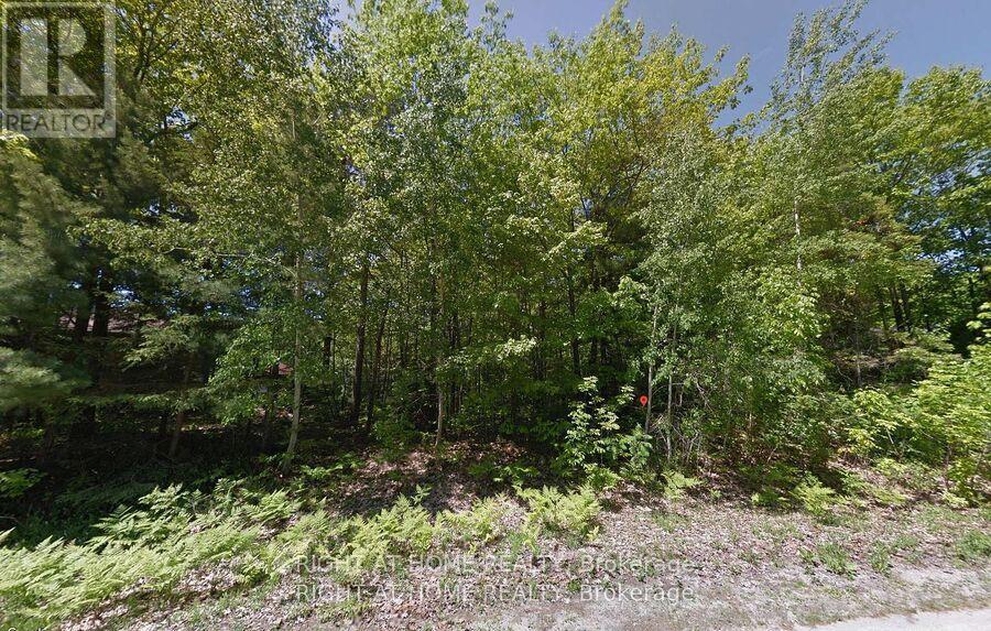 2 BIRCHWOOD TRAIL Property Photo 1
