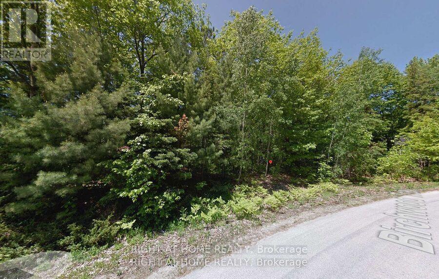 2 Birchwood Trail Property Photo 2