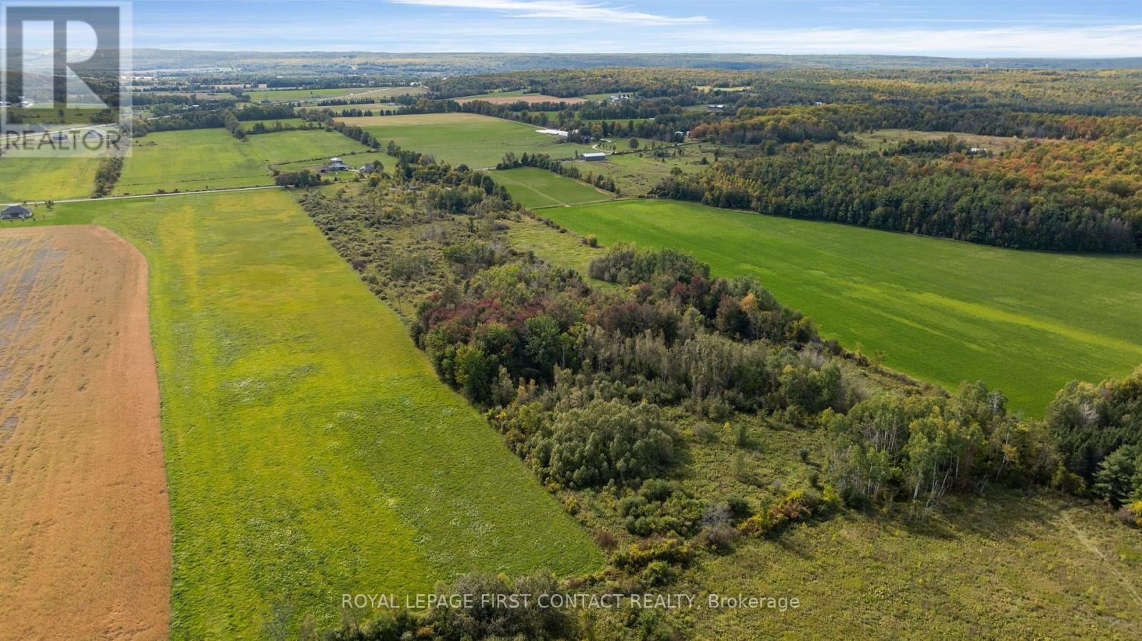 2463 Dunns Line Property Photo 9