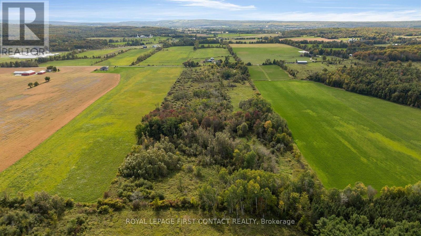 2463 Dunns Line Property Photo 10