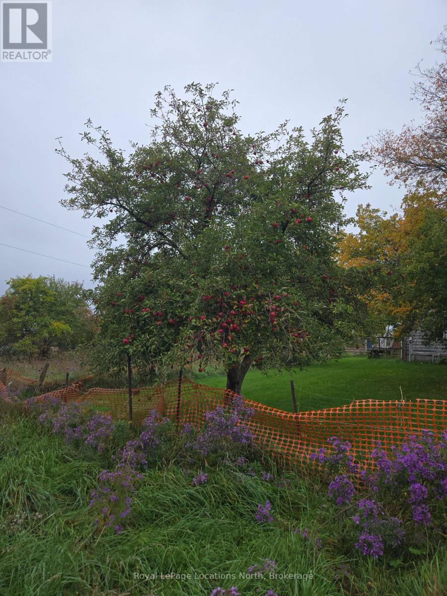 2939 92 County Road Property Photo 21