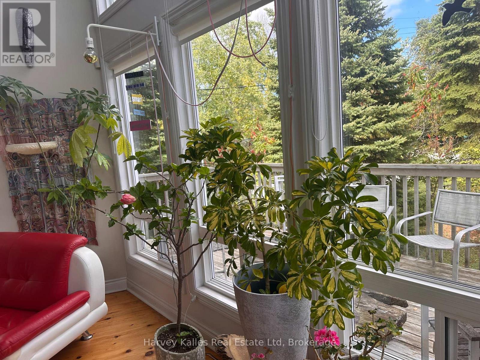 61 Constance Boulevard N Property Photo 4