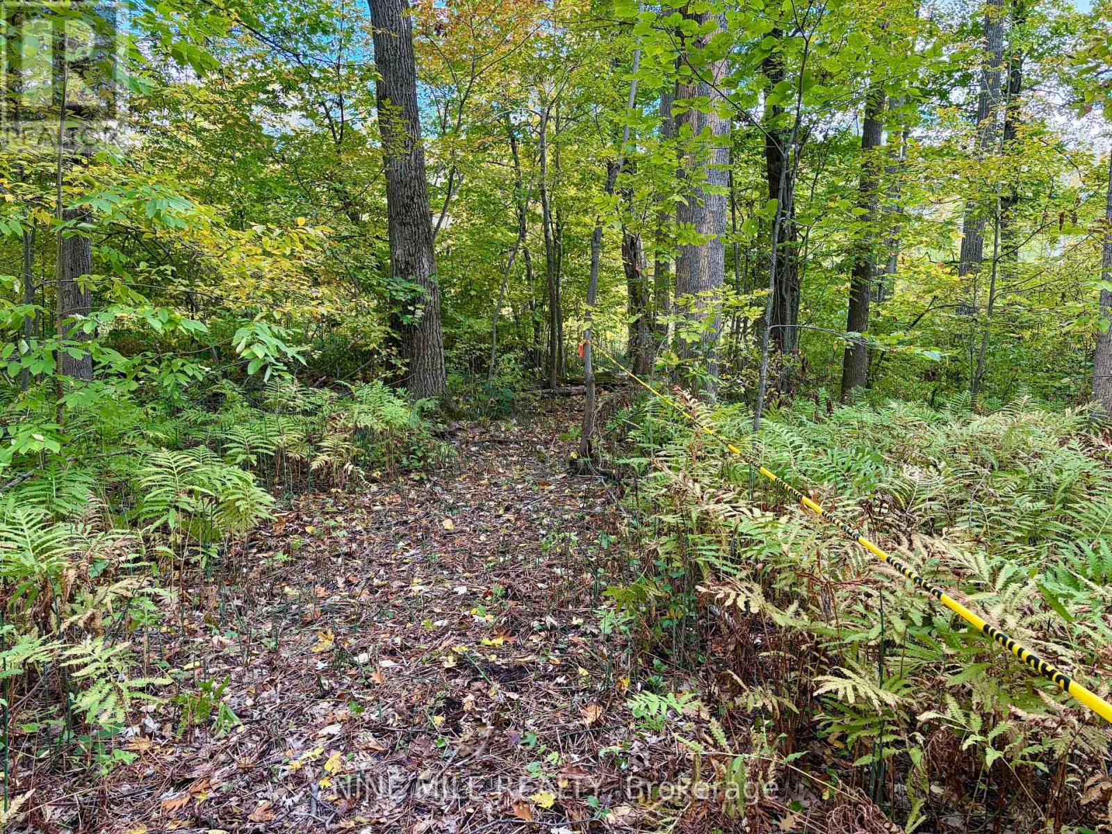 3159 Switch Road Property Photo 1