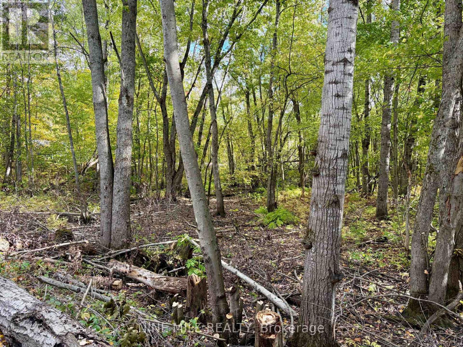 3159 Switch Road Property Photo 10