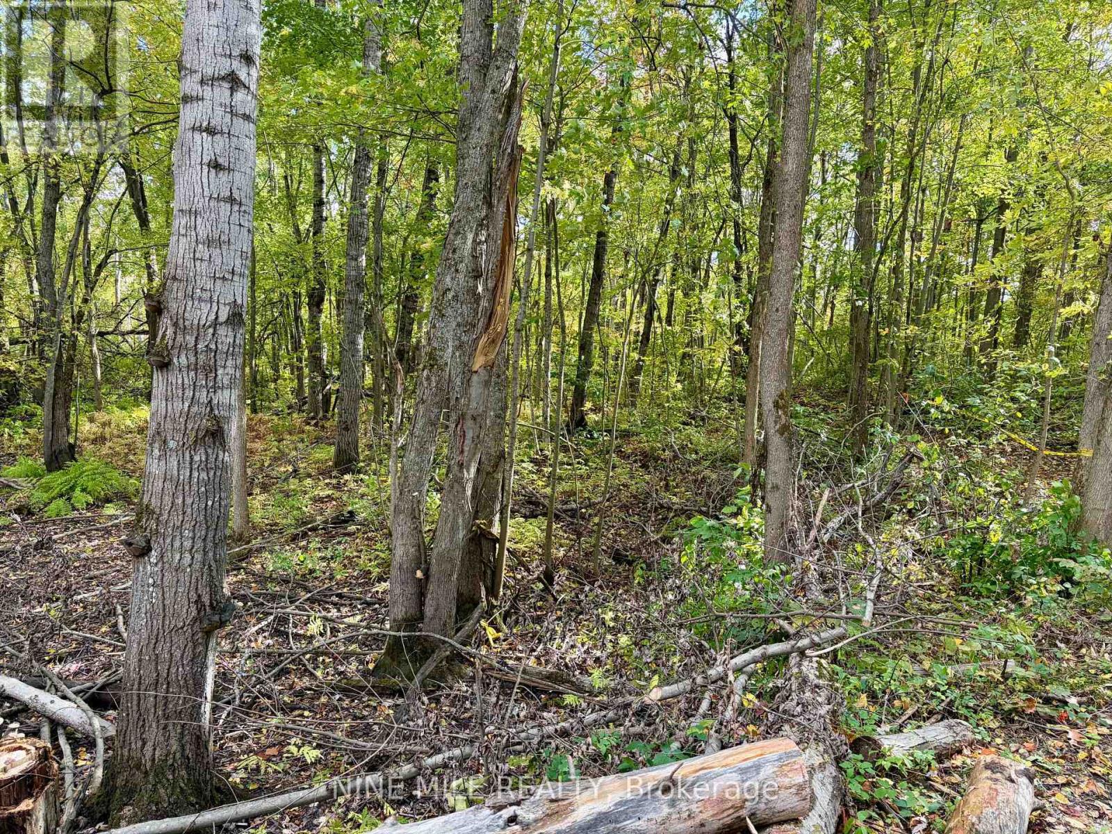 3159 Switch Road Property Photo 11