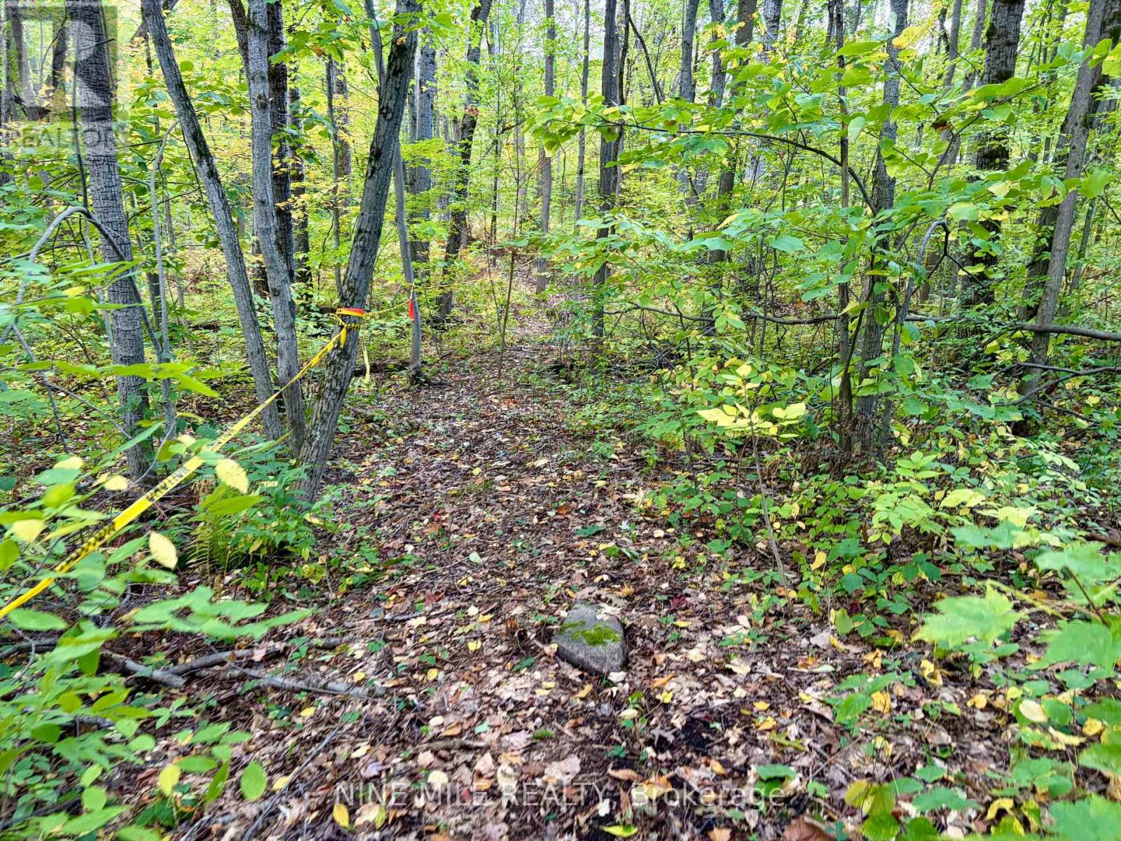 3159 Switch Road Property Photo 12