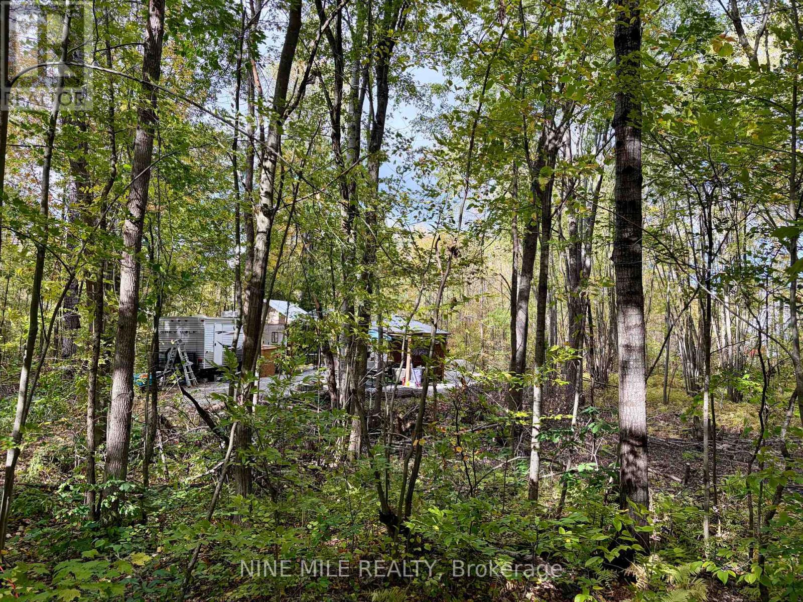 3159 Switch Road Property Photo 16