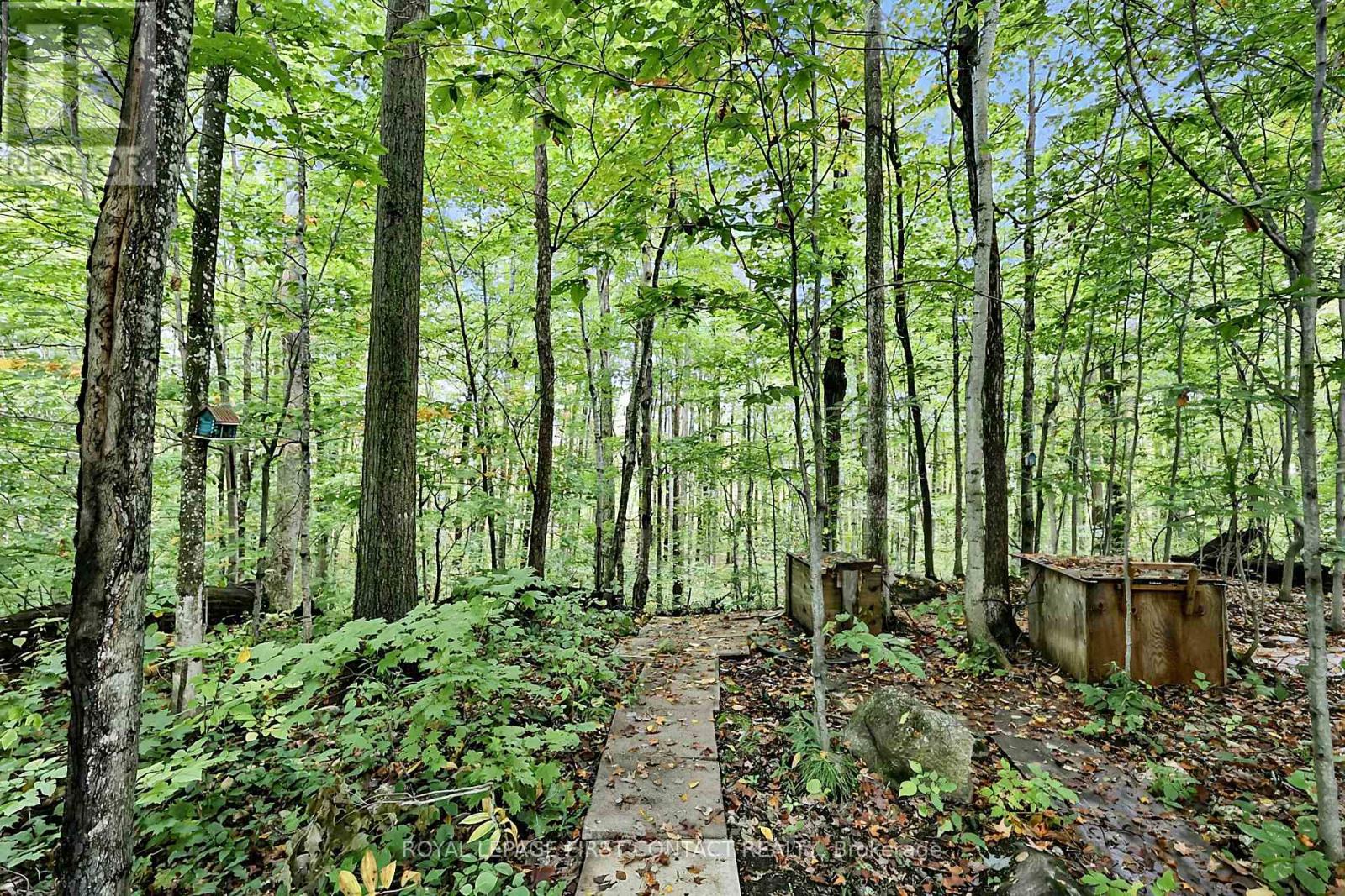 2442 Champlain Road Property Photo 4