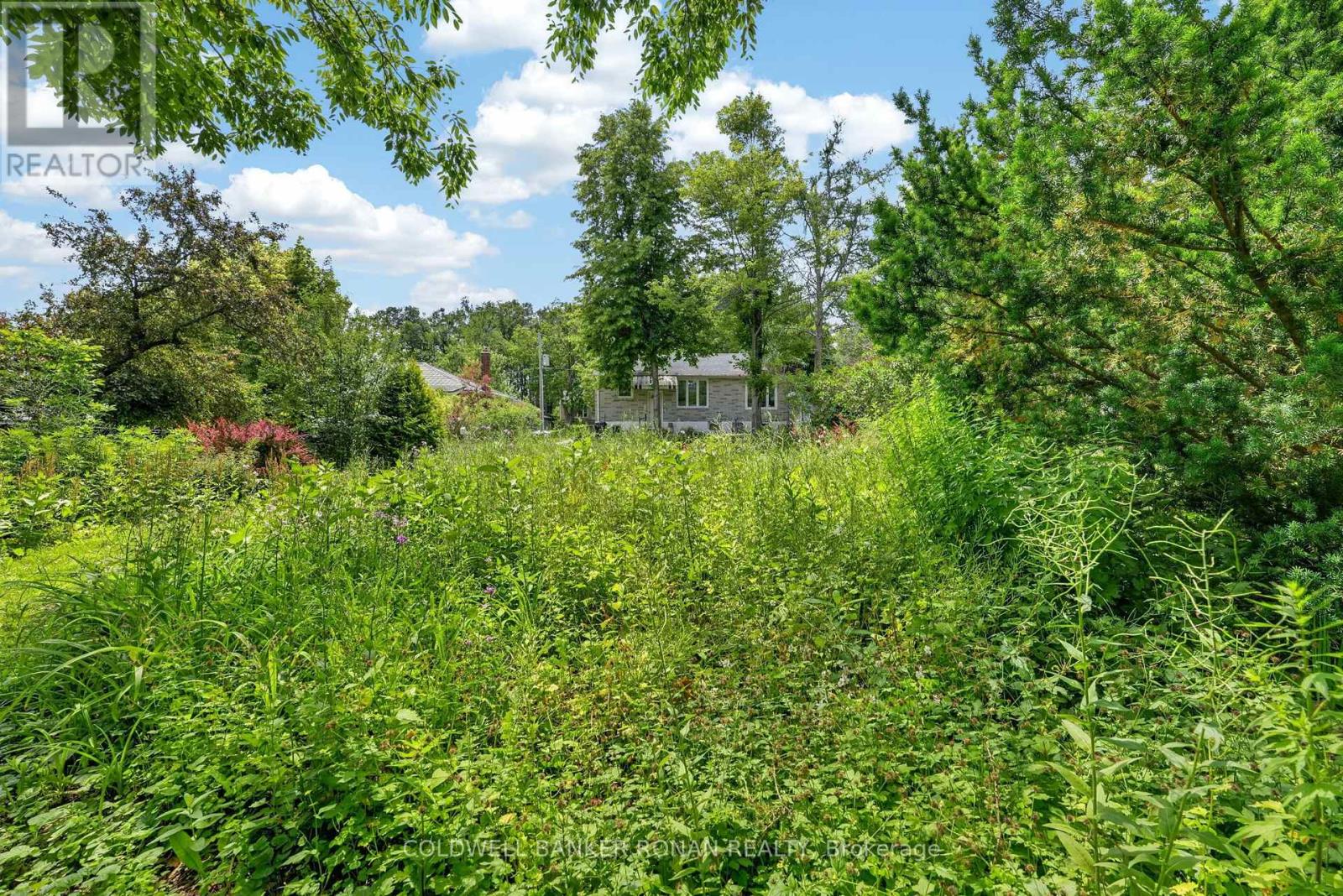9 Vine Street Property Photo 47