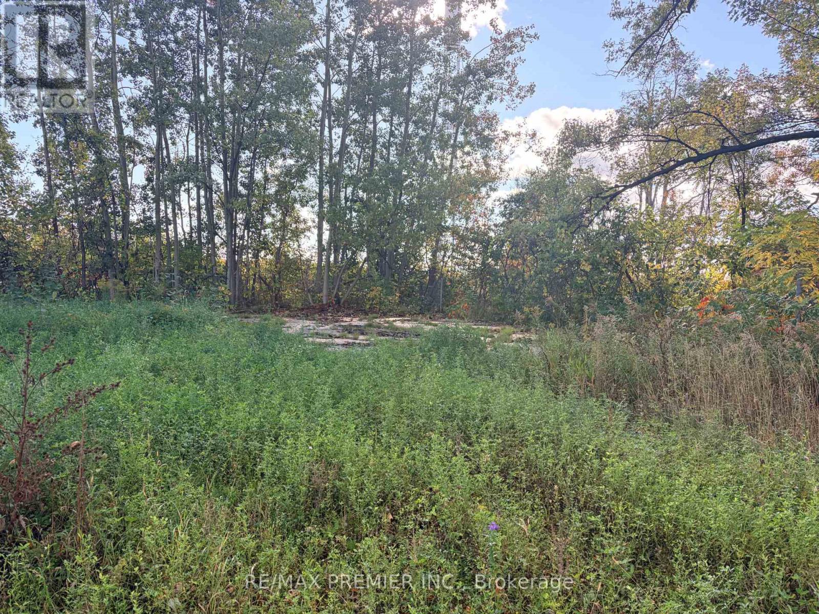 8665 Hwy 11 Property Photo 4