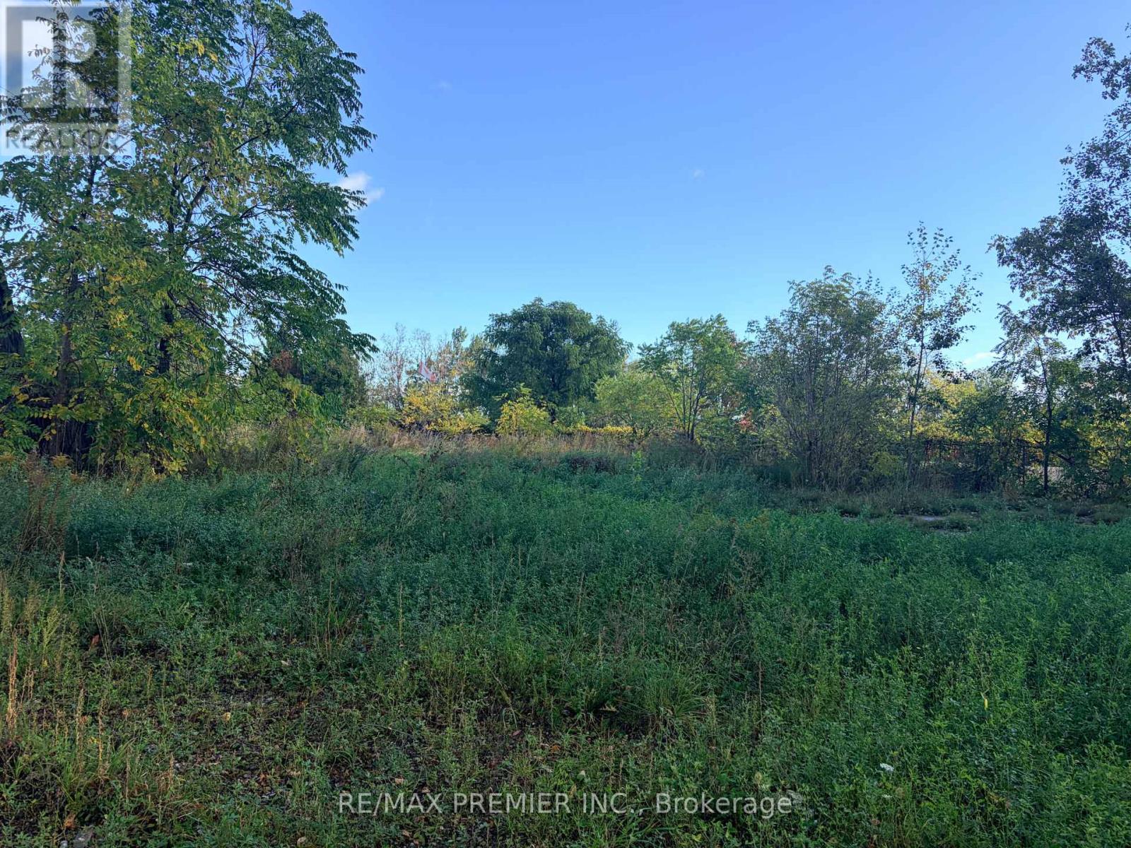 8665 Hwy 11 Property Photo 5