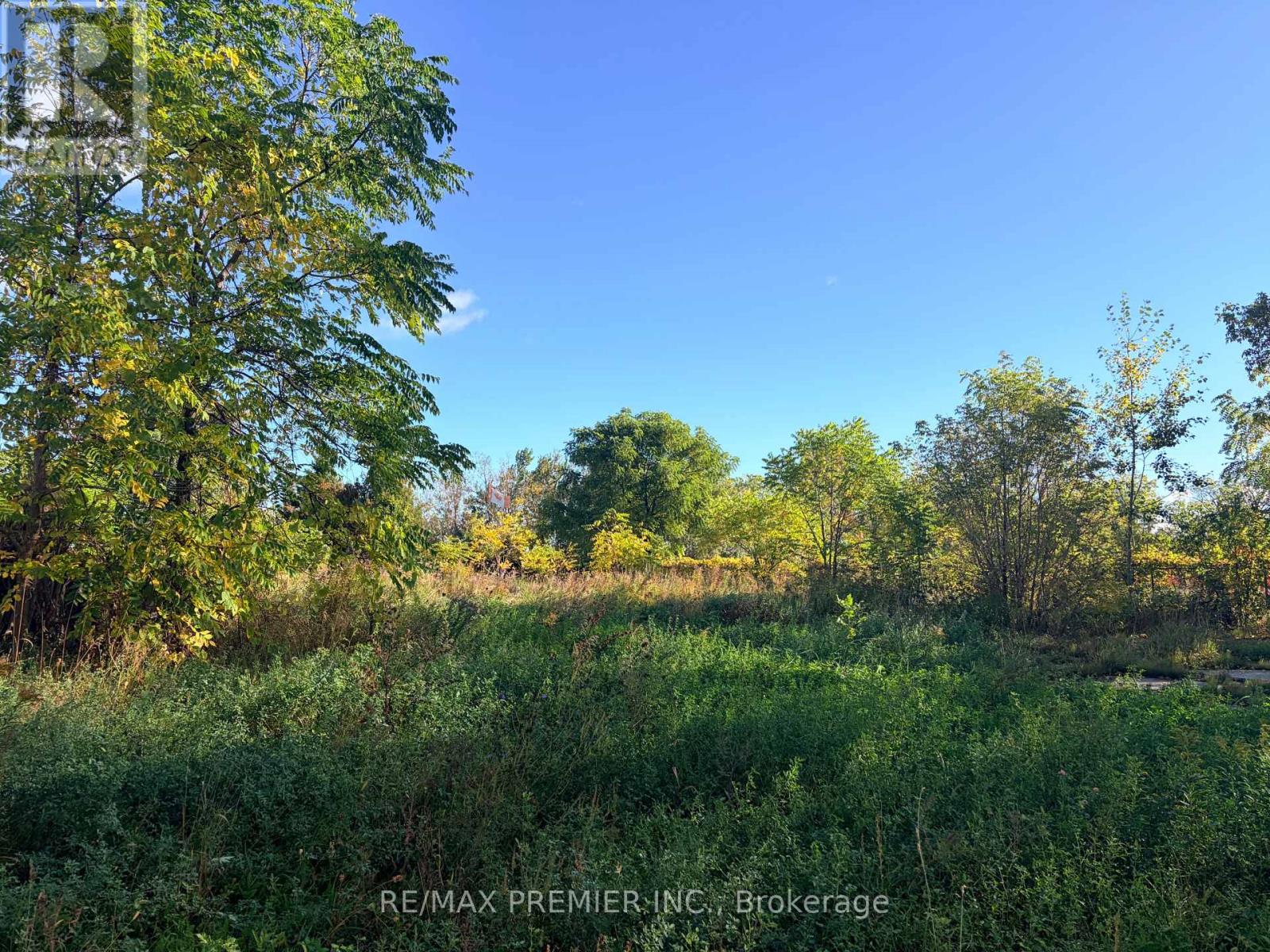 8665 Hwy 11 Property Photo 7