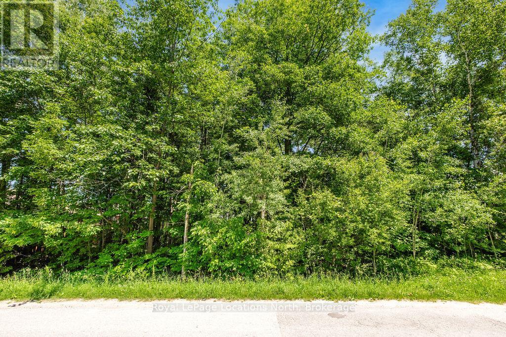 79 Smallman Drive Property Photo 8