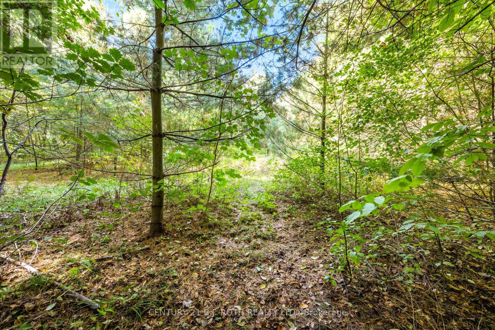 2 Sycamore Circle Property Photo 44