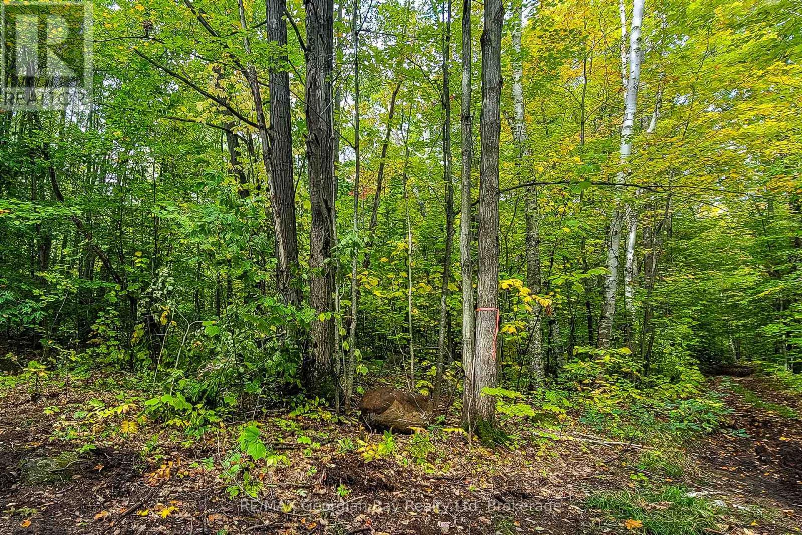 Lot 18 Conc 19 Road W Property Photo 3
