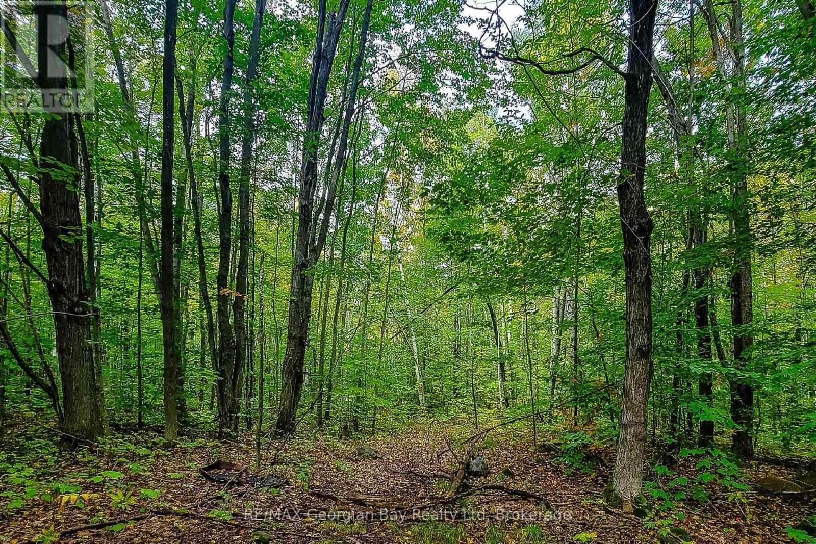 Lot 18 Conc 19 Road W Property Photo 5